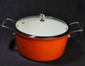 Cast Iron Dutch Oven With Enamel Coating