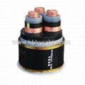 XLPE / PVC Insulated Submarine Power Cable 1