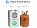 disposable cylinder refrigerant R404a