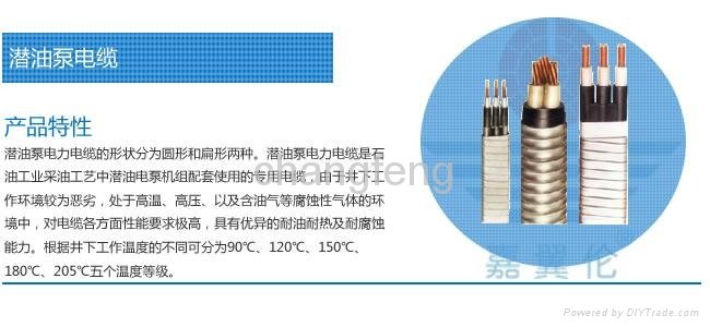 Submersible pump cable 2