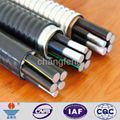 YJLHV(TC90) aluminum alloy cable 3