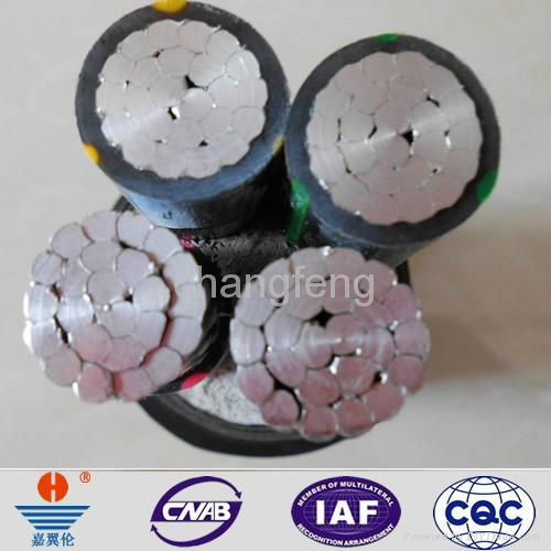 YJHLV22 XLPE insulated PVC sheathed power cable  2