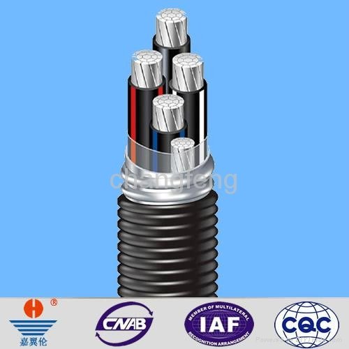 YJHLV22 XLPE insulated PVC sheathed power cable  3