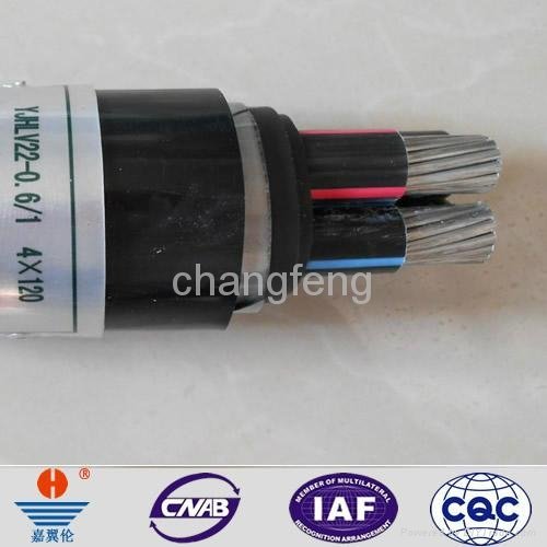 YJHLV22 XLPE insulated PVC sheathed power cable  5