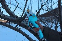 Vineyard scissors/Electric pruning