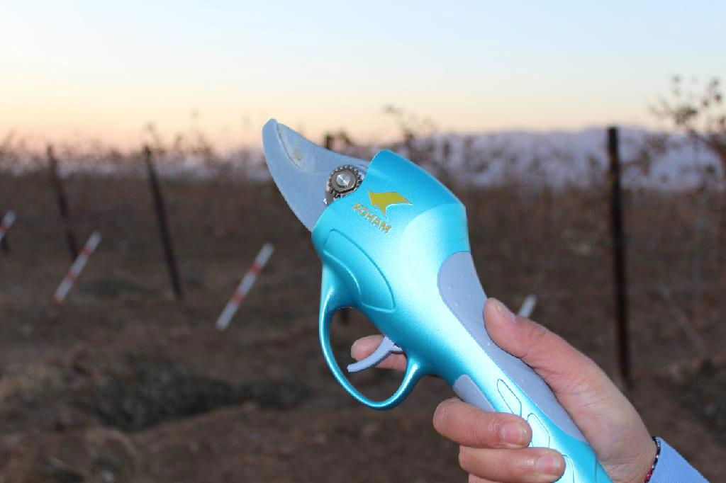 electric pruning shears