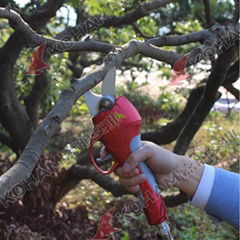 Electric garden scissors