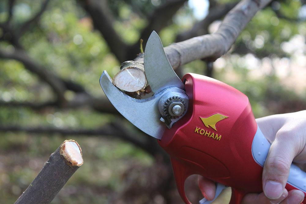 Electric pruning scissor 4