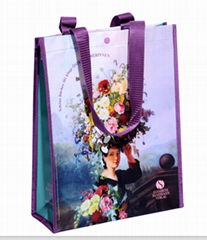 YL-B011 non woven bag for shopping