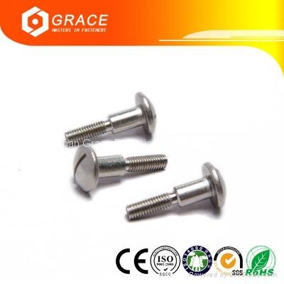 Slotted Cheese Head Stepped Screws