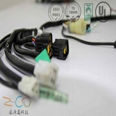 various kinds of customized molding cable assembly