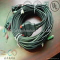 wire harness