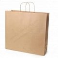 Brown Paper Shopping Bag with Twisted Handle