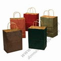 Brown Paper Bags with Twisted Handle 1