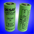 Factory Produced- Primary Type Lithium