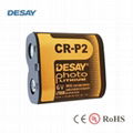 1,600mAh 6.0V Lithium Battery, 1,000mA