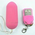 Big Vibrating Wireless Egg 10 Speed Car Remote Control Vibrating Egg Sex Toy