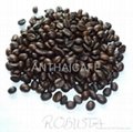 Roasted coffee bean 1