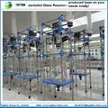 Hot Selling Jacketed Glass Reactor 2