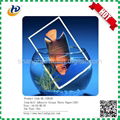 self adhesive sticker glossy matte photo paper  4