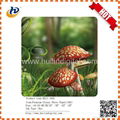 Hot selling Inkjet premium glossy photo paper 3