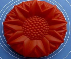 Mold Silicone Rubber