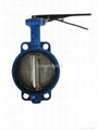 DN50-DN1200 Wafer Type Butterfly Valve 1