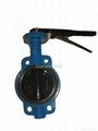 DN50-DN1200 Wafer Type Butterfly Valve 2