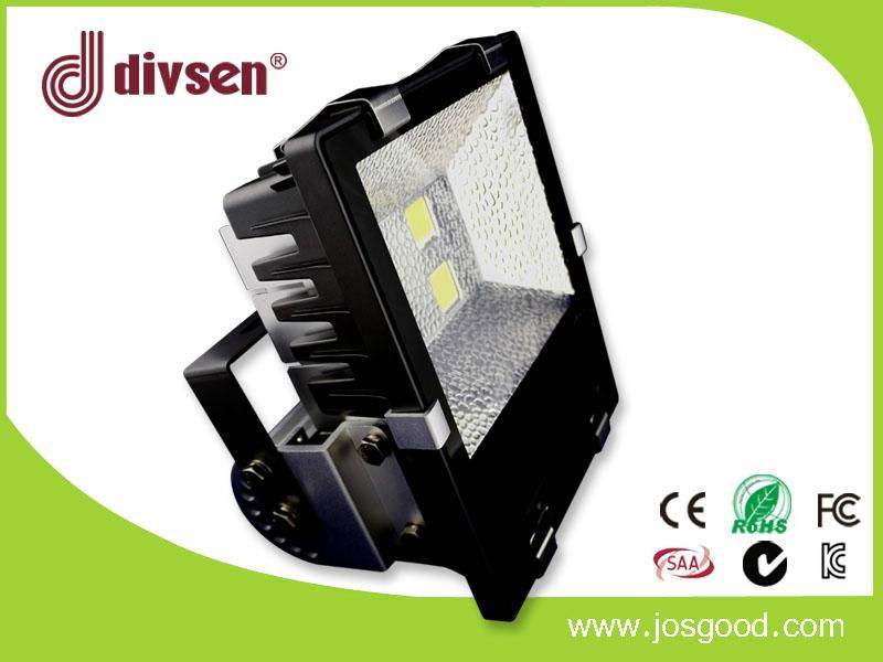 100W LED Flood Light  3