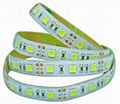 SMD flexible led strip light 5050 single color 60LED Per Meter 5