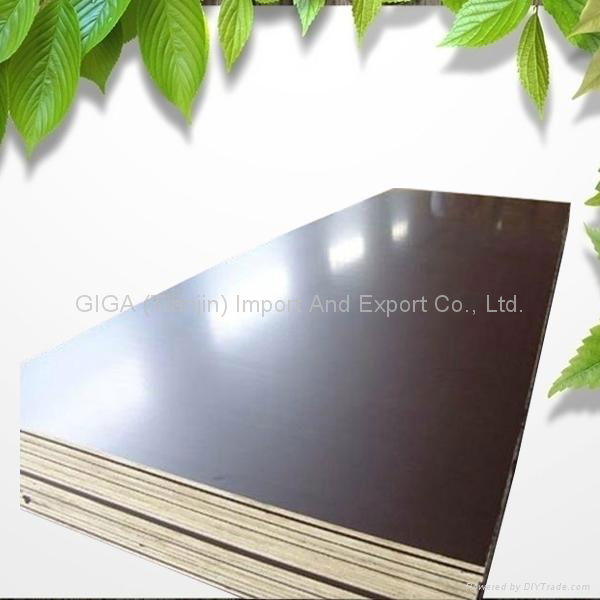 GIGA 18mm cheap plywood for sale 