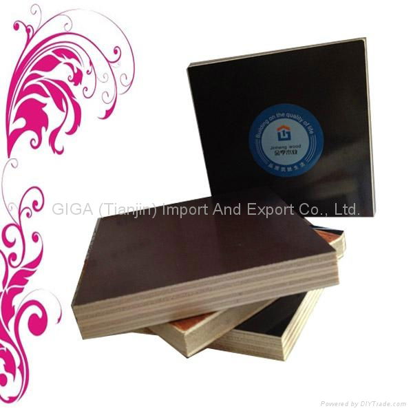 GIGA 18mm cheap plywood for sale  3