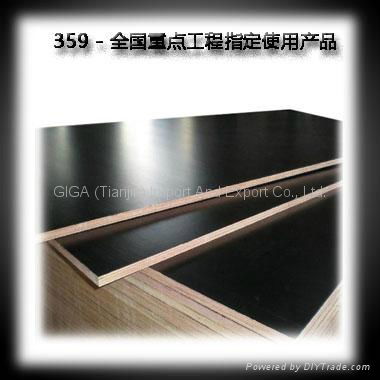 GIGA 18mm cheap plywood for sale  5