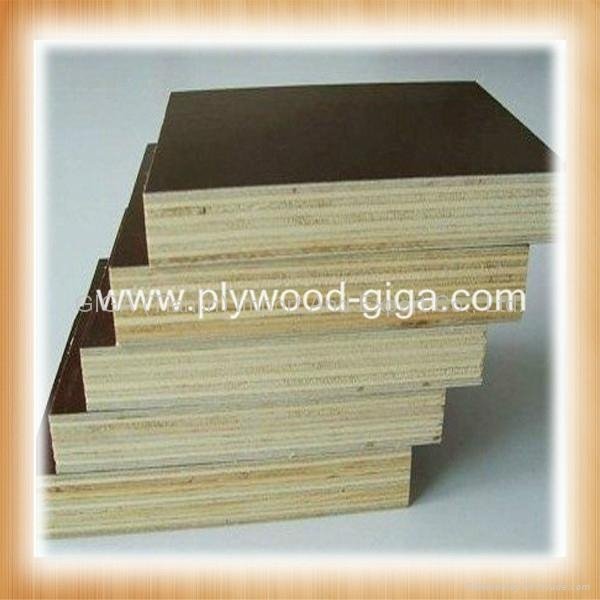 Hot sale-1220*2440 brown waterproof plywood  3