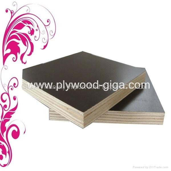 Hot sale-1220*2440 brown waterproof plywood  4