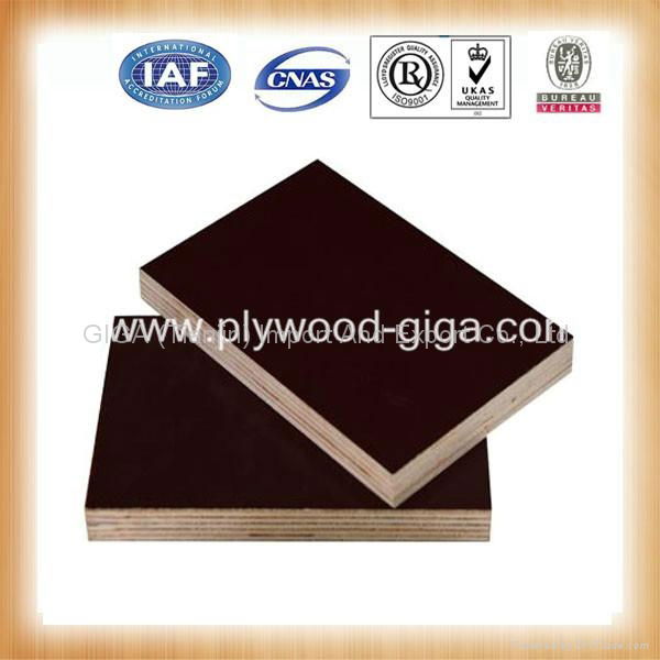 Hot sale-1220*2440 brown waterproof plywood  5