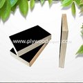 China factory for sale black film faced plywood 