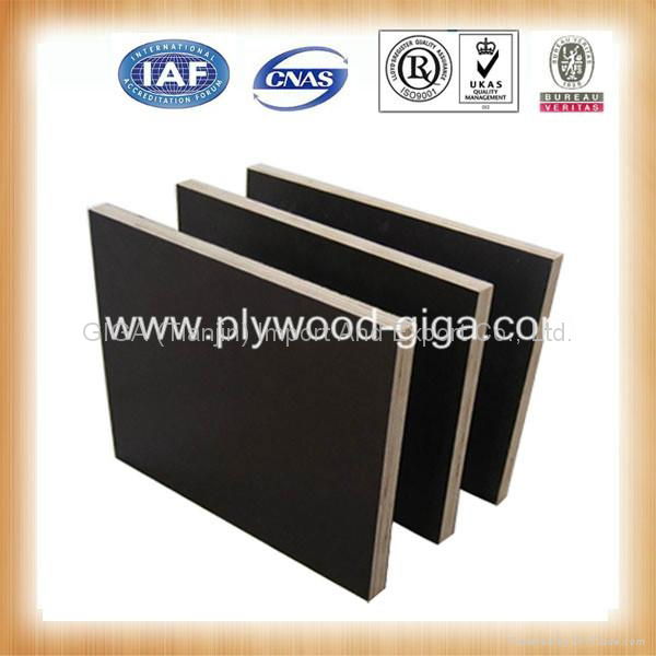 China factory for sale black film faced plywood  2