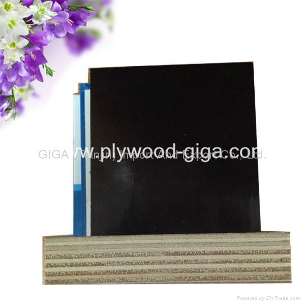 China factory for sale black film faced plywood  3