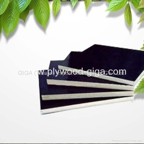 China factory for sale black film faced plywood  4