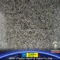 GIGA 10-22mm Polished Cindy Green granite tiles  2