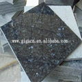 GIGA high quality granite tiles Blue Pearl in India  3