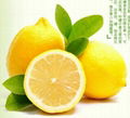 fresh lemon 1