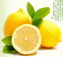 fresh lemon