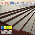 GIGA brown phenolic film faced plywood 3