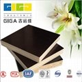 GIGA black phenolic plywood construction companies 2