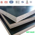 GIGA black phenolic plywood construction companies 3