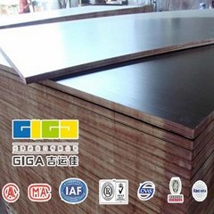 GIGA brown melamine sheet marine plywood cheap