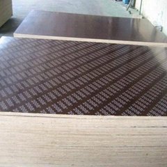 GIGA imprinted film faced plywood all kinds of building materials