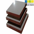 cheap plywood for sale brown black